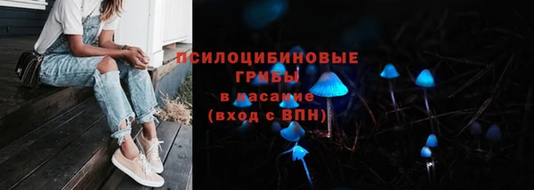 мяу мяу мука Алексеевка