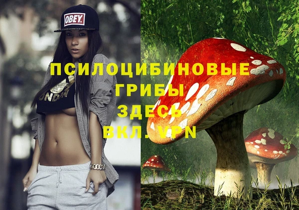 мяу мяу мука Алексеевка