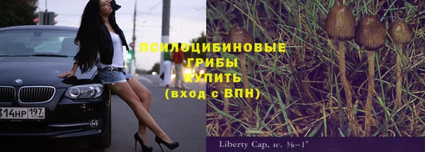 мяу мяу мука Алексеевка