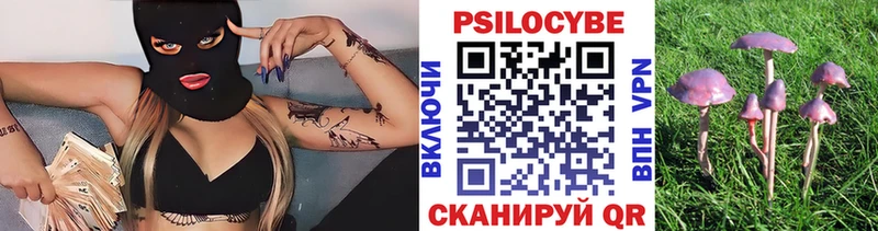 Галлюциногенные грибы GOLDEN TEACHER Чусовой