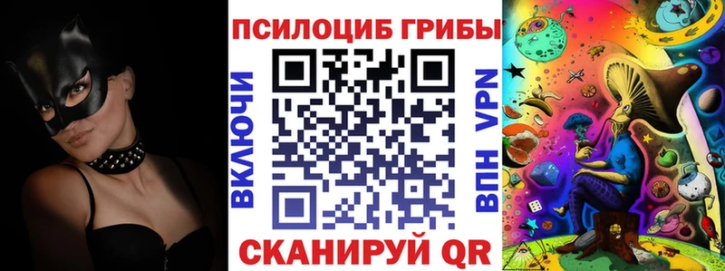 Галлюциногенные грибы Psilocybine cubensis  Чусовой 